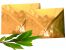C6 Briefumschl�ge 10 St�ck/Pack. Schuppeneffekt Gold gl�nzend nassklebend gummiert Papierumschlag