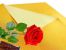 Diamant gepr�gte Goldfolie 200 x 250 mm, 1kg/Pack, 15�m, Diamantfolie fertige Zuschnitte f�r Schokol